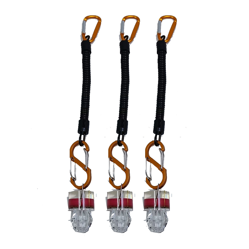 2-3PCS LED Fishing Lights With - đánh giá và giá Fish Alarm