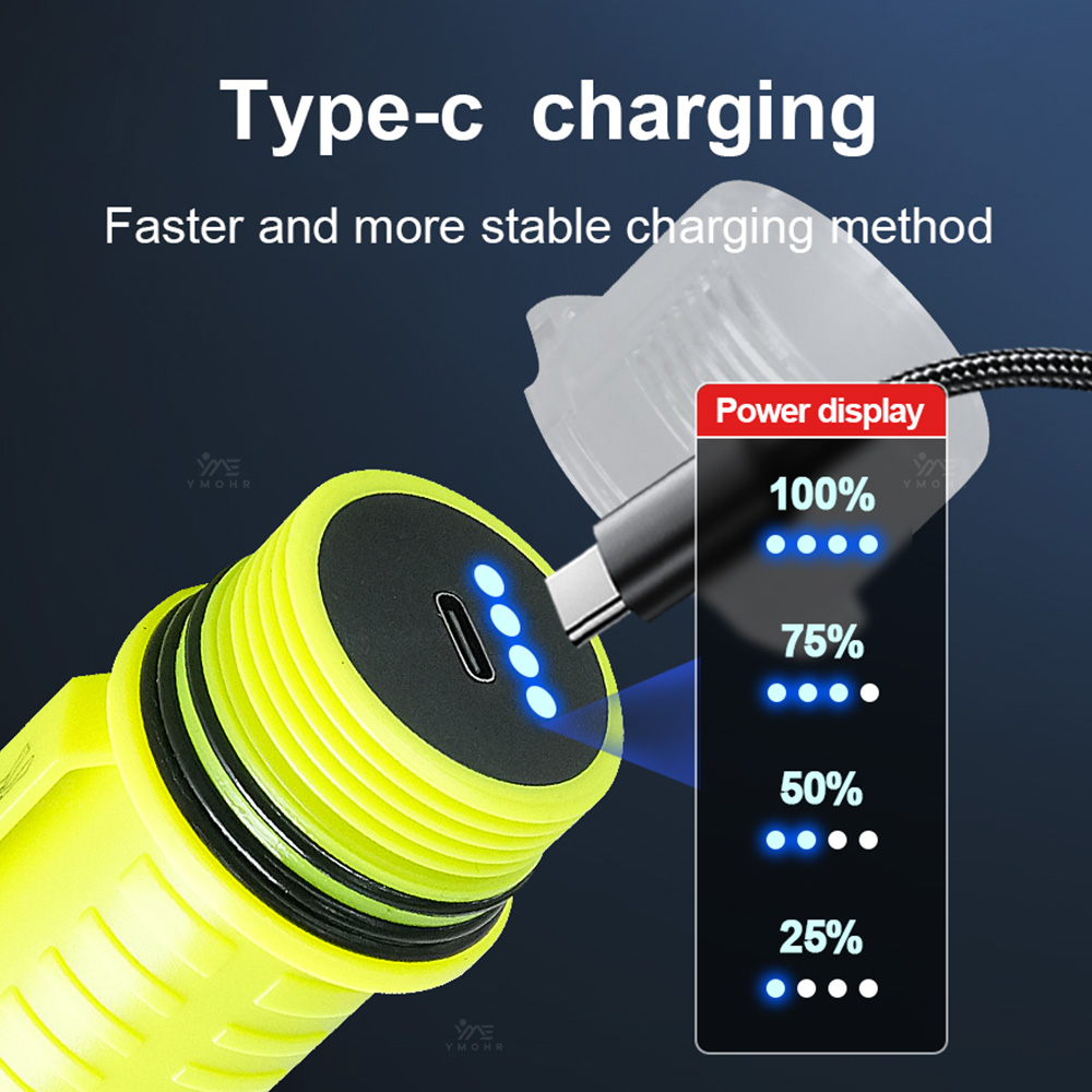 New Portable Professional LED  - đánh giá và giá Fishing Light